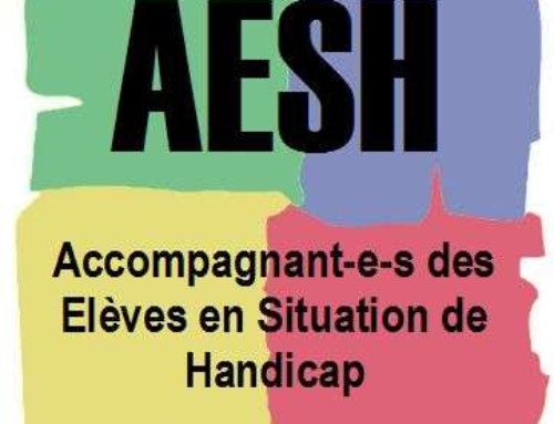 Stage FSU AESH 1er et 2nd degré jeudi 29 janvier 2026 – Toulon